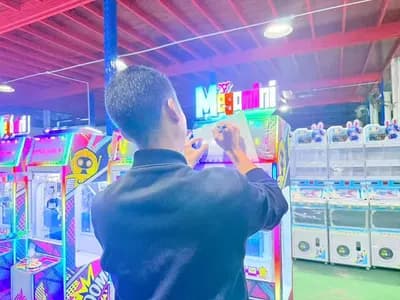 Mega Mini Claw Machine - view 16